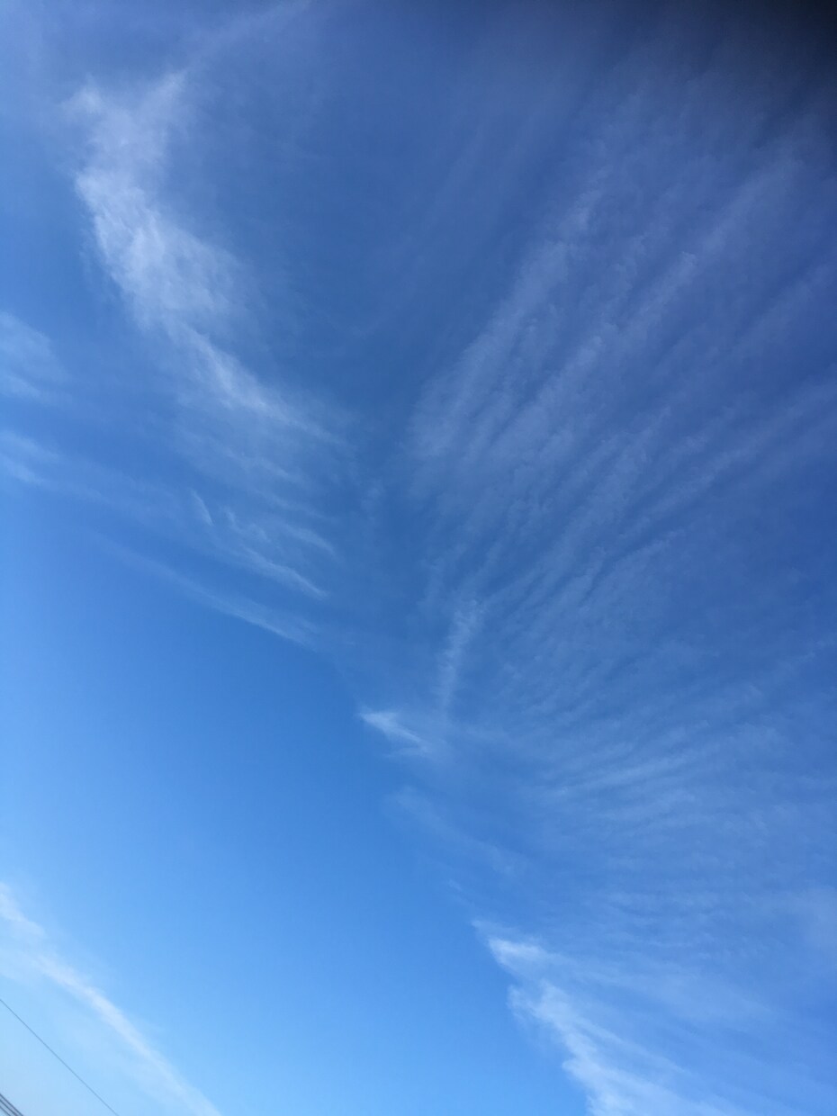 負の考え方変える協力をいたします これからの幸せのための進路を一緒に考えましょう。 イメージ1