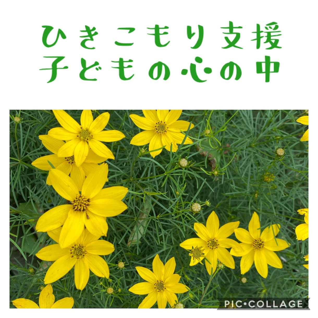 パートナーとのお悩みにアドバイスできます パートナー間の問題、関係修復、愚痴や相談などお待ちしています イメージ8