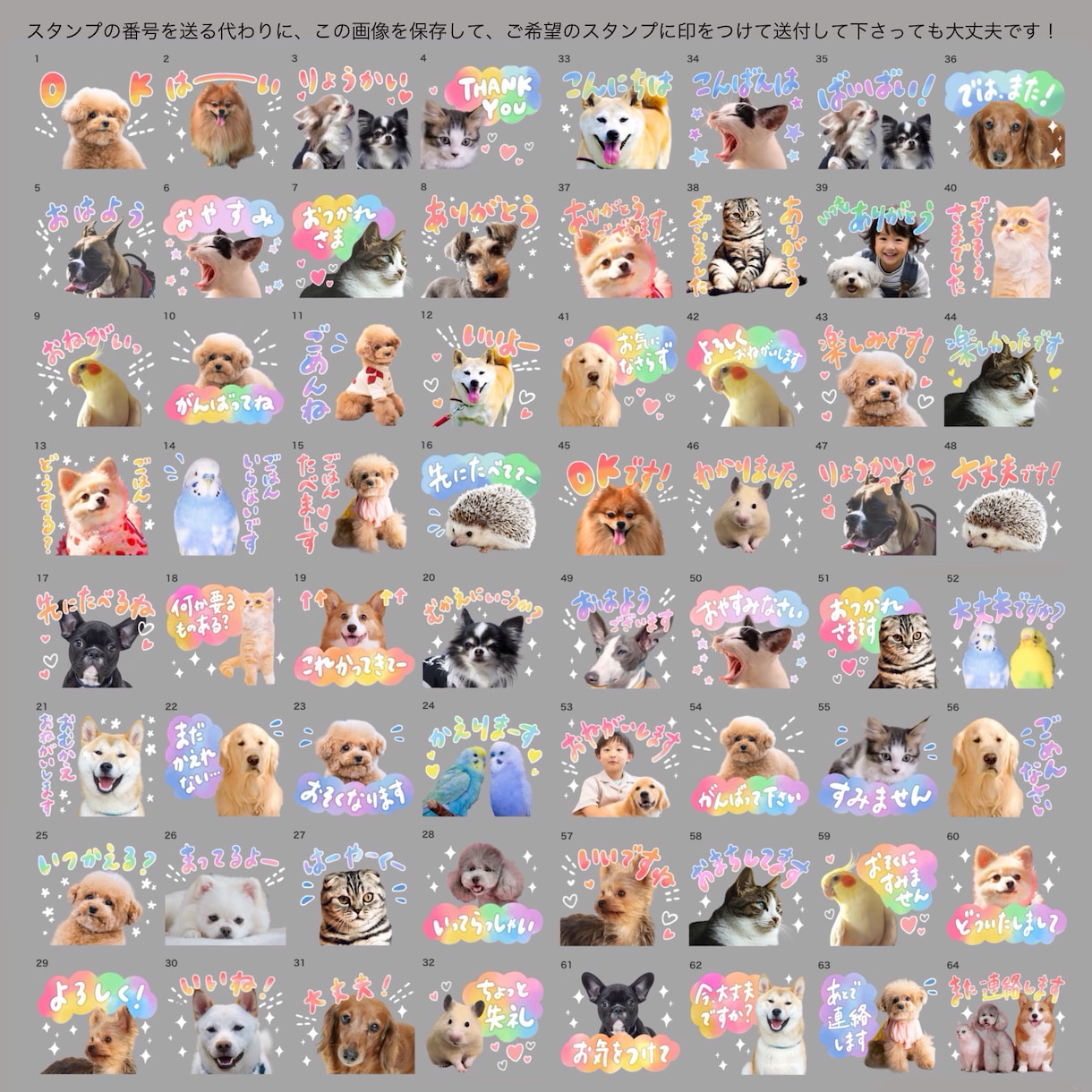 ペットのお写真でカラフルなLINEスタンプ作ります 犬、猫、エキゾチックアニマル、どんな種類でも大歓迎！ イメージ8