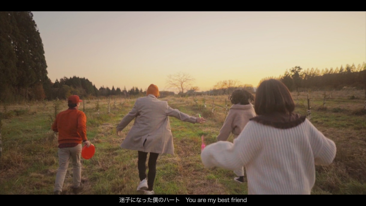 シネマティック動画作成します 映画のようなカラーグレーディング イメージ5