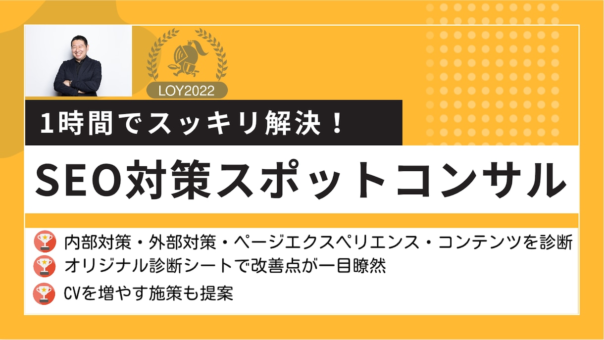 SEOのプロが検索1位を狙うSEO対策診断します オリジナルのSEO診断シートを利用して、サイトの改善点を提案 イメージ1