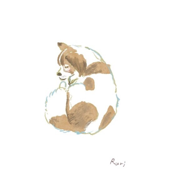 ゆるいタッチで大切なペットのイラスト描きます 大事なペットのイラストを、心を込めて描きます！ イメージ3