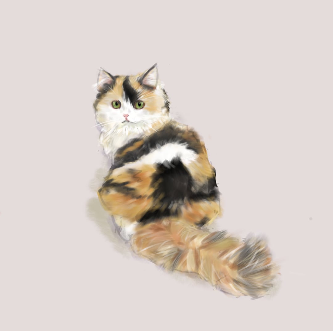 ご自宅で飼われているネコちゃんのイラストを描きます お気に入りの写真をイラスト風に作成しませんか？ イメージ2