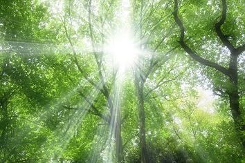 気になる人、 意中の人、大切な人との相性を観ます 占術を駆使して相性の善し悪しを高い精度、確率を以て占断します イメージ2