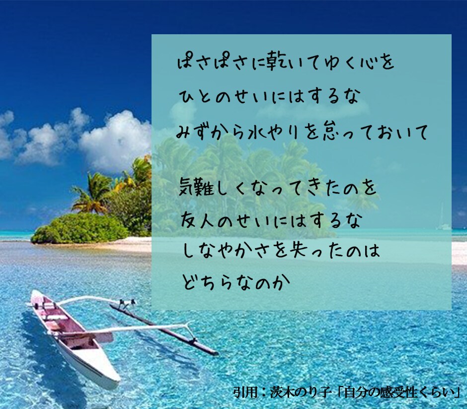 インスタグラム【一週間】運用サポートします 日本人フォロワーへいいね等のアプローチ【SNS拡散・宣伝】 イメージ3