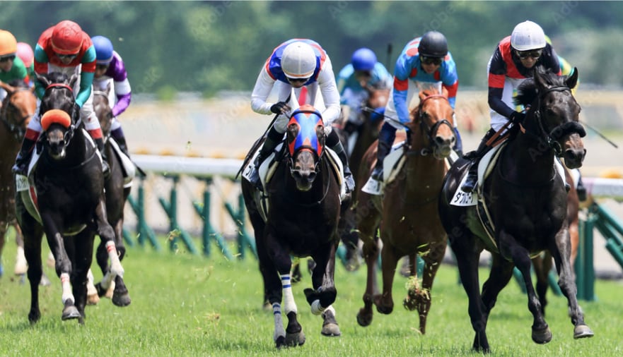 競馬予想AIを爆安で提供します 最新データ連携可能かつ初心者でもシンプルで使いやすい！ イメージ1