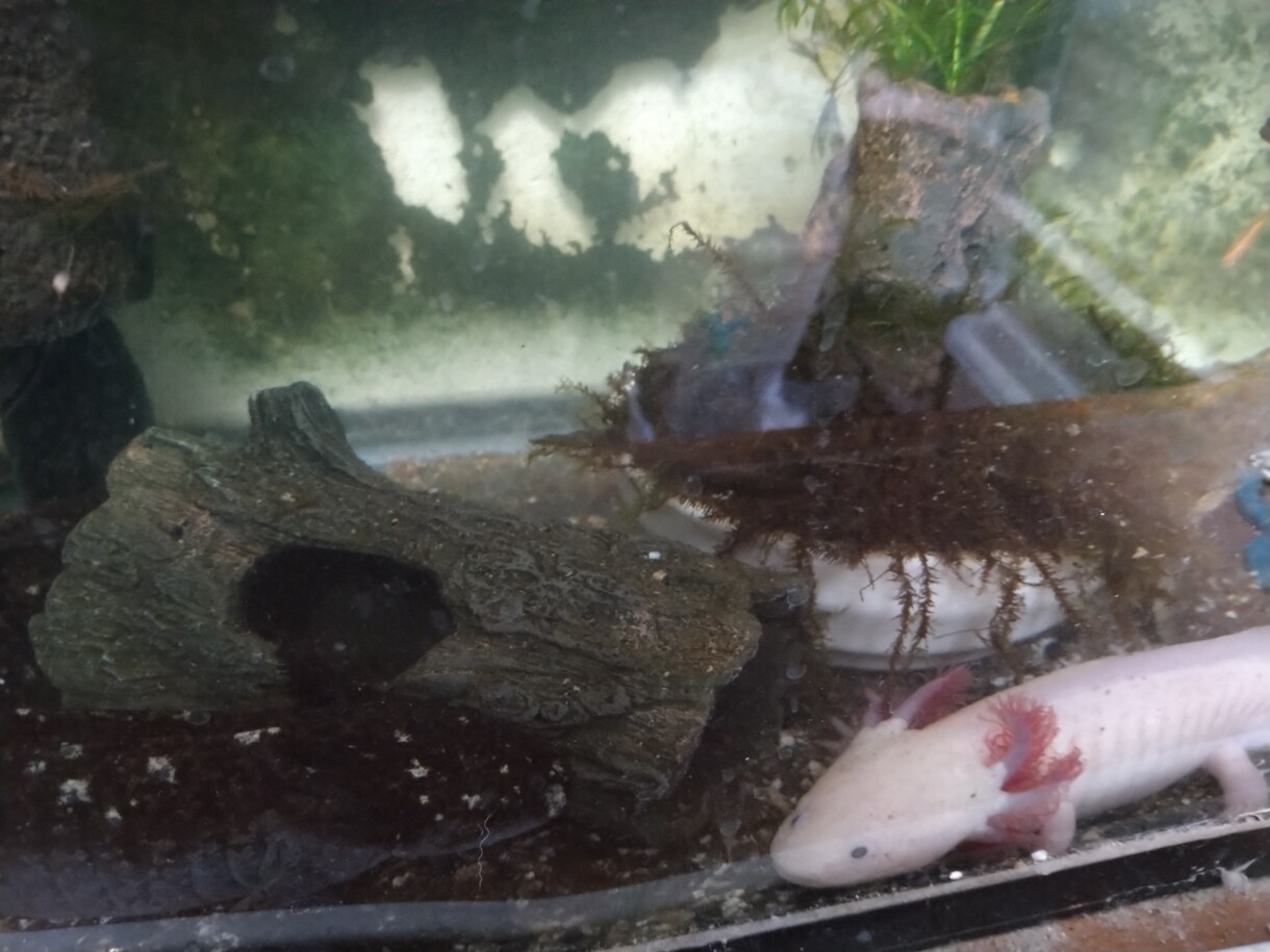 ペットの飼育相談のります お互いより良い理解者になるために一緒に考えます イメージ3