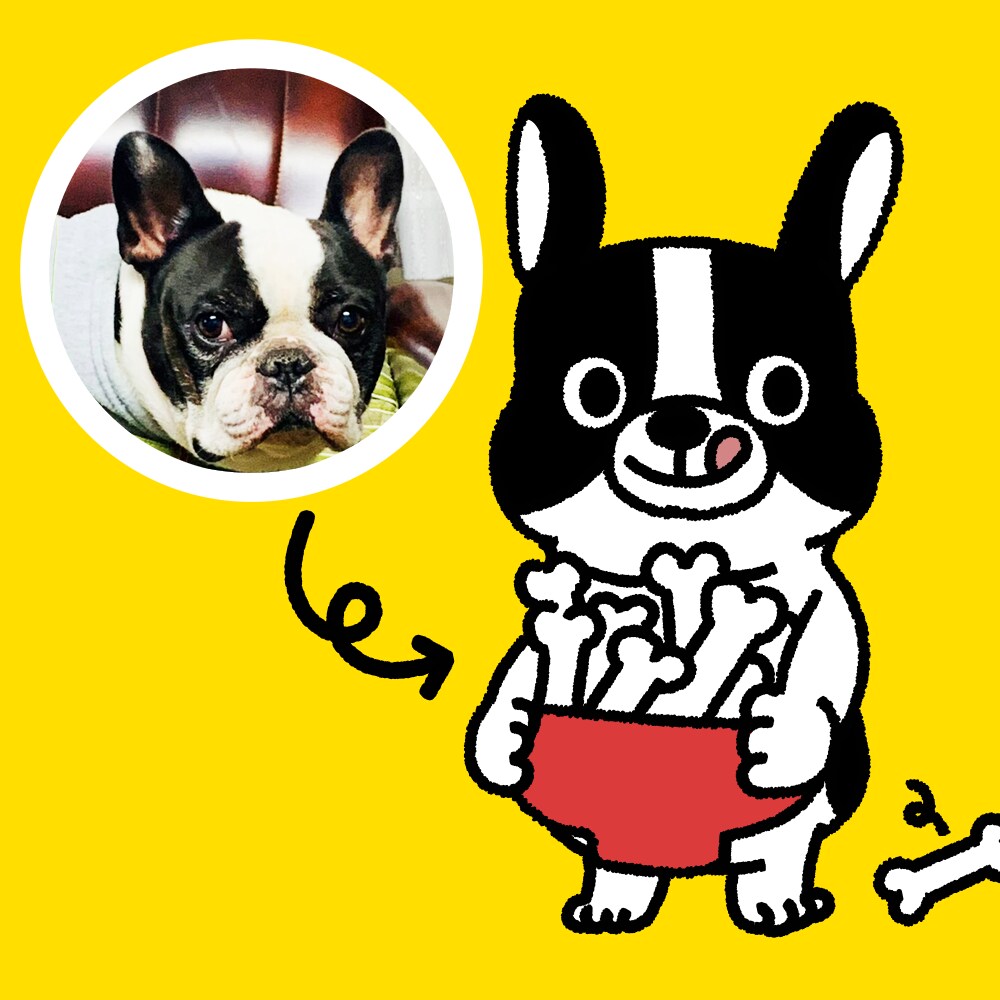 あなたのペットをキャラクター化します シンプル＆ポップで可愛く世界に１つだけのキャラクターを作成 イメージ1