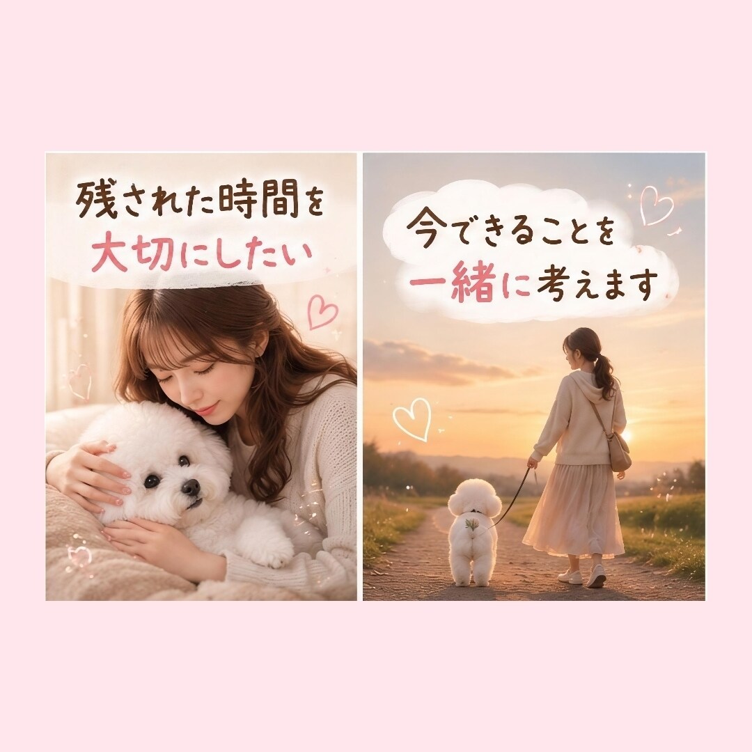 愛犬との限られた時間に寄り添います 残された大切な時間のお気持ちに寄り添います イメージ4