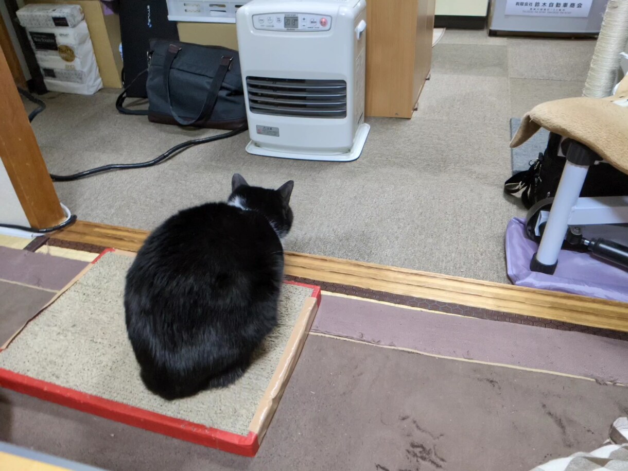 あなたの悩みや愚痴を聞きます アドバイスや診断はしません。とにかく誰かと話したい方の窓口。 イメージ4