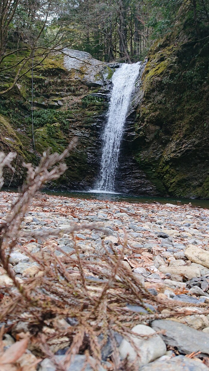風景や食べ物などの写真を提供します 川、滝、花等の写真を撮影しています。 イメージ6
