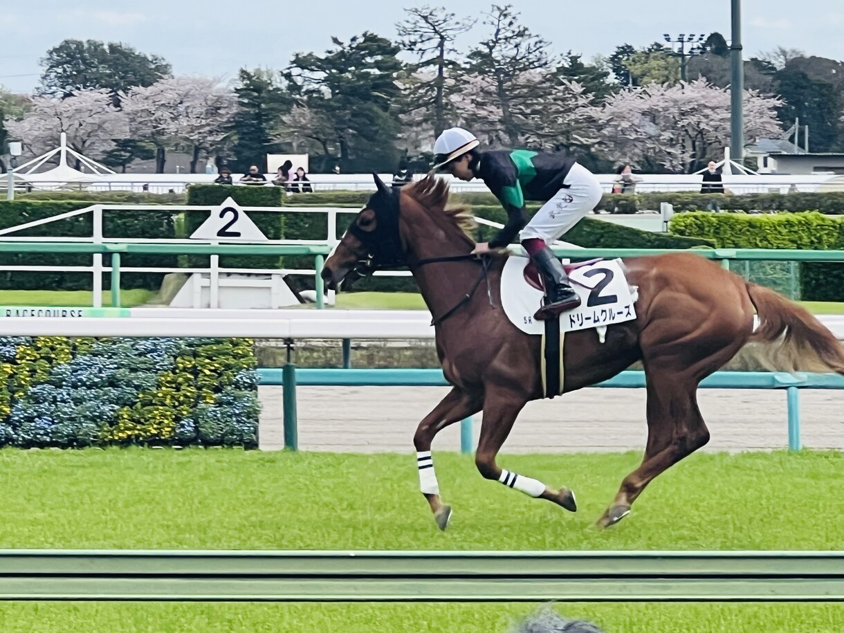 競馬予想のお手伝いをします 一緒に印、買い目を決めませんか？ イメージ1