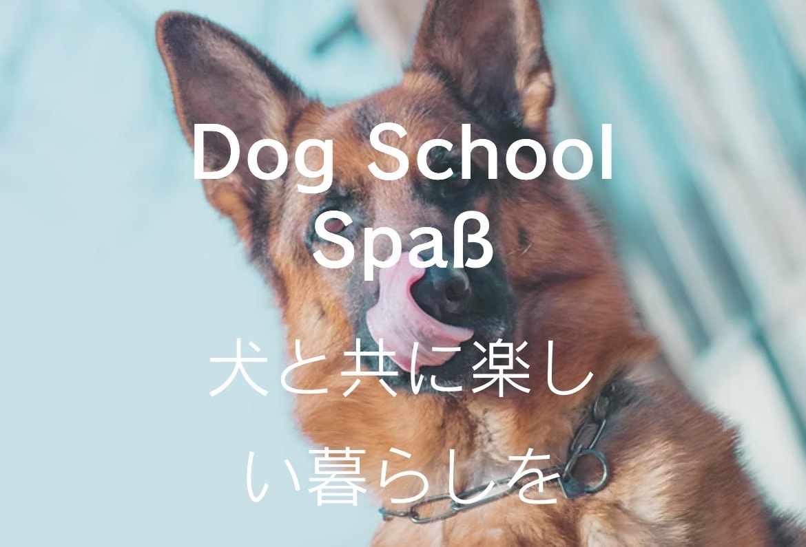 愛犬の「なんで！？」を一緒に解決します 愛犬の「困った」に悩む飼い主さんをサポートします イメージ1