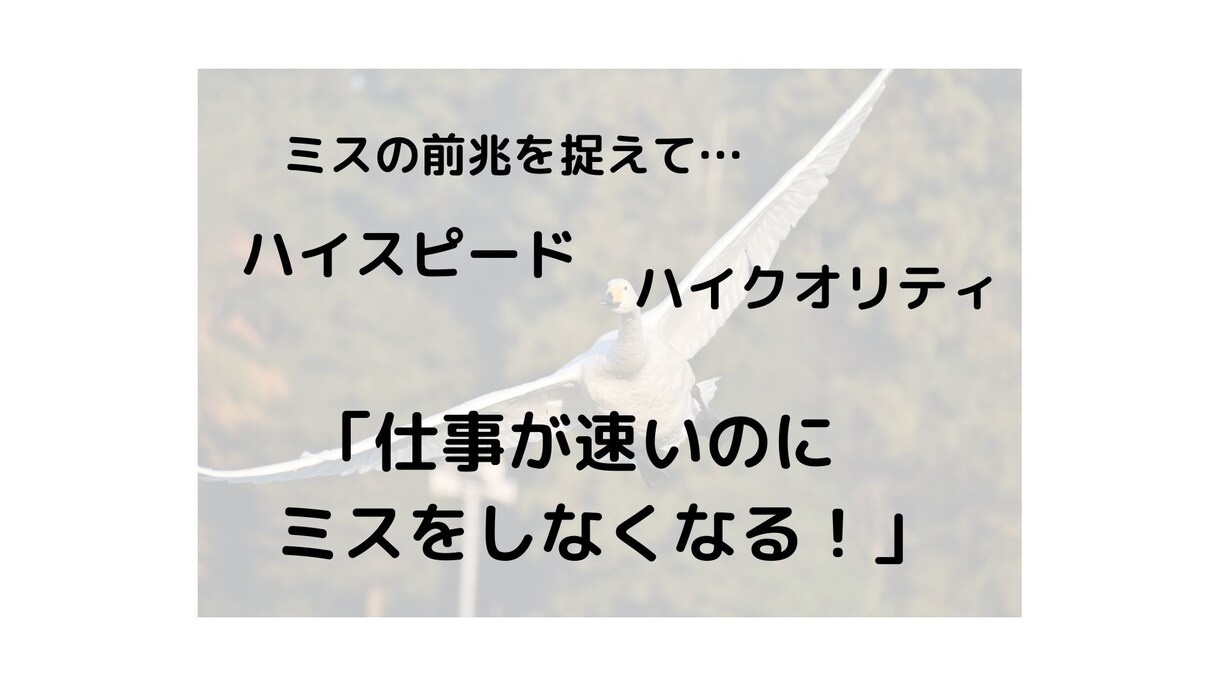 仕事が「速いのにミスをしない人」になる方法教えます 「ミス」は誰もが抱える最大のリスク。「ミスの前兆」を捉える！ イメージ1
