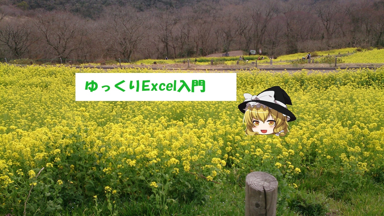 Excel初級・中級を解説します ゆっくりエクセル解説します。初級・中級 イメージ1