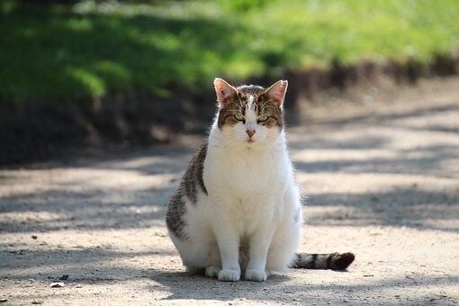 最高な頭の健康と、カラダが好調子になります 毎日すがすがしいメゾッドをコーチ、心とカラダを解毒しませんか イメージ2