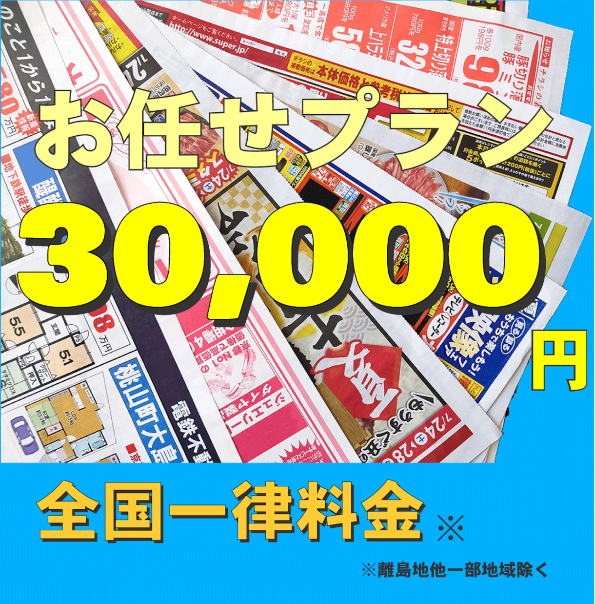 3万分で地域密着チラシ最適化配布致します 新聞折込・ポスティングをエキスパートが最適配布を設計 イメージ1