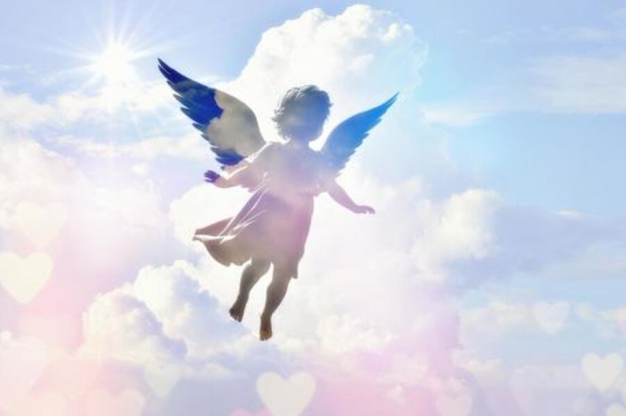 亡くしたあの子への辛く苦しいお気持ちに寄り添います 虹の橋を渡ったあの子の思いを伝えます明日は笑顔になれるように イメージ4