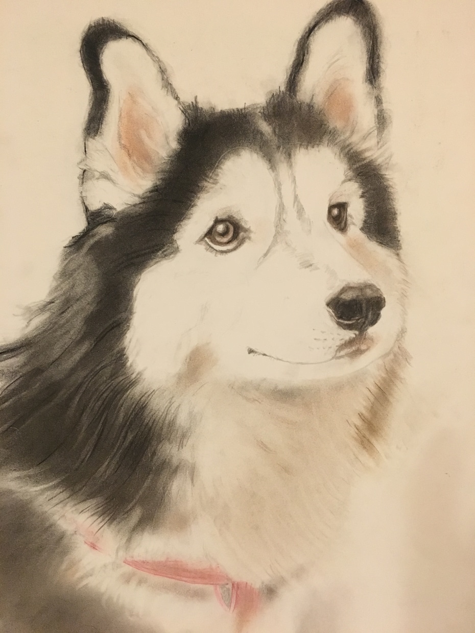 ペットのイラストをアナログで描きます 動物のイラストを色鉛筆やパステルで イメージ1