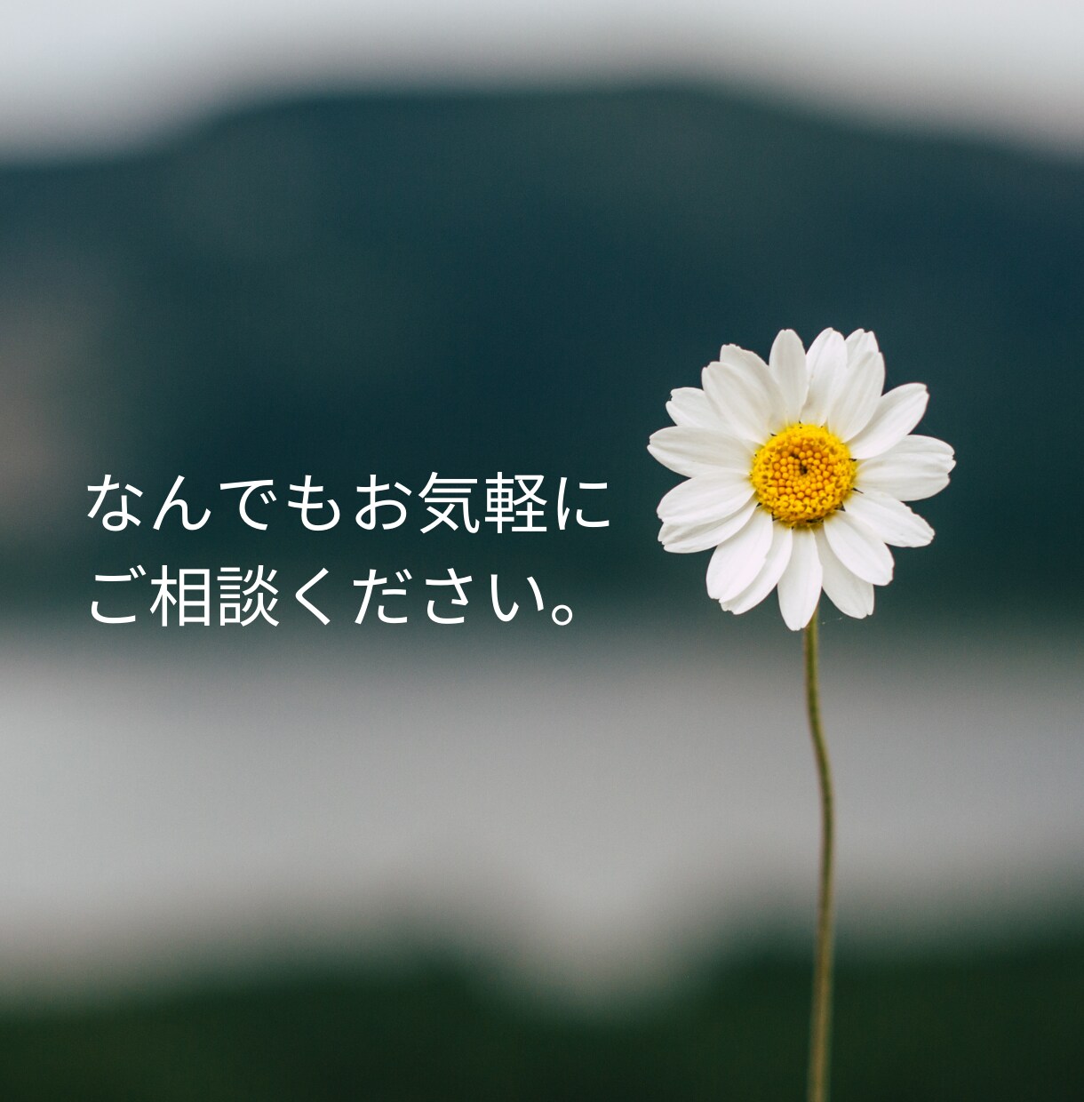 自分らしく生きたい繊細さんのお力になります 今までの自分から卒業して、新しい人生を歩みませんか？ イメージ3