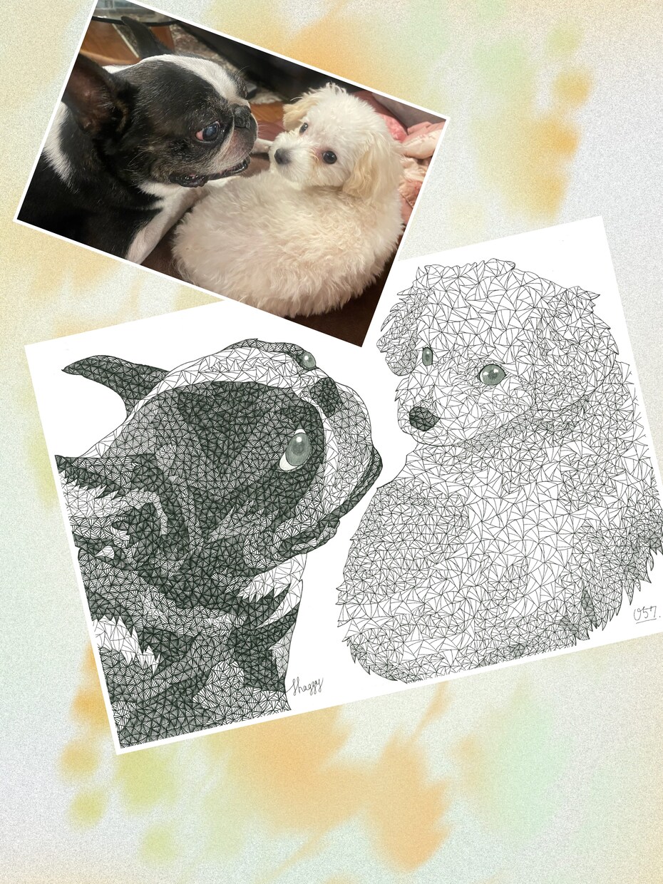 ペットの絵を三角形のみで表現して描きます ボールペンの線の密度で立体感を表現!! イメージ4