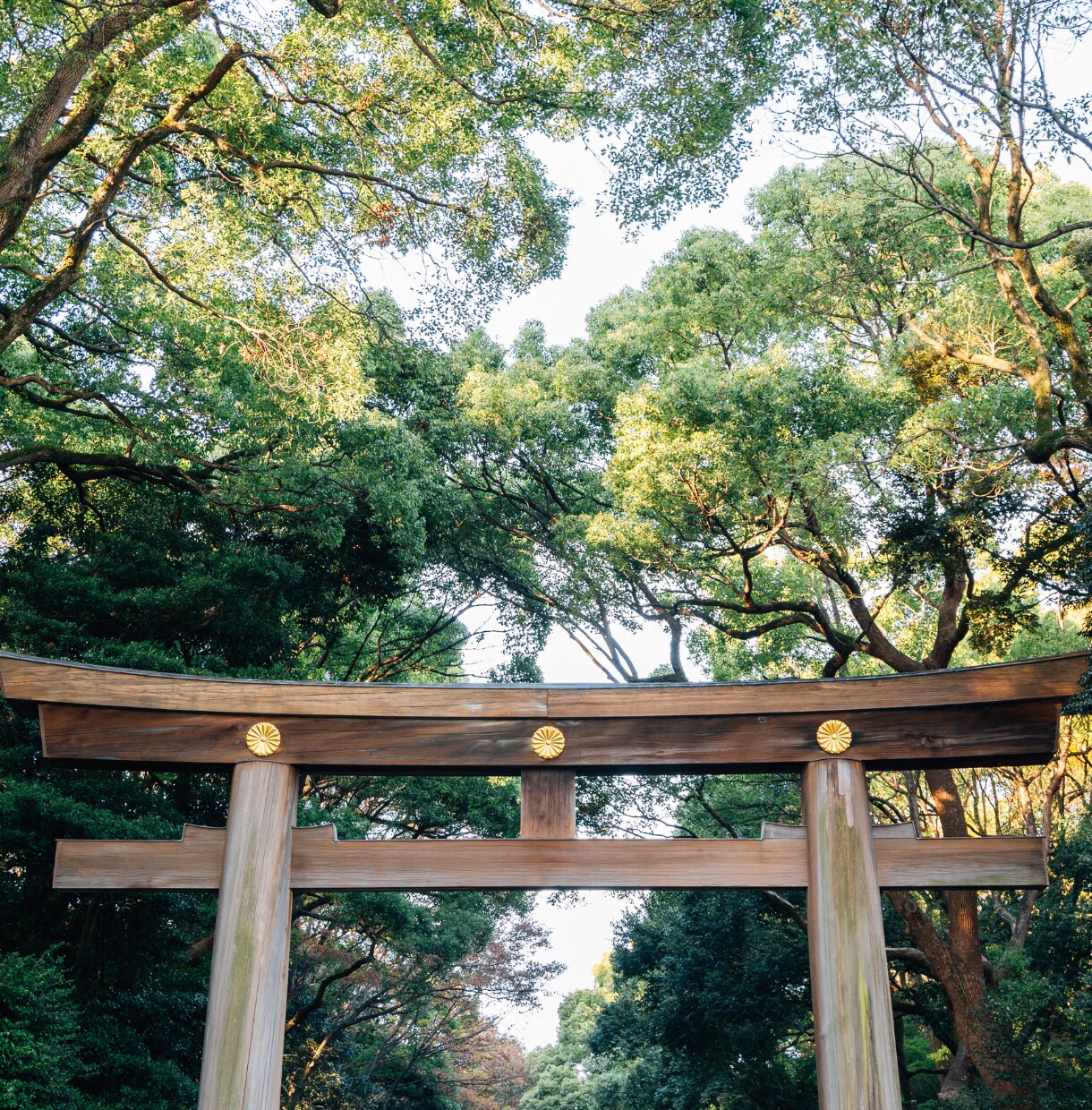 縁結霊視｜彼の沈黙の裏にある本音を視ます 想いを続けるべきか、手放すべきか今こそ本音に触れてください。 イメージ7