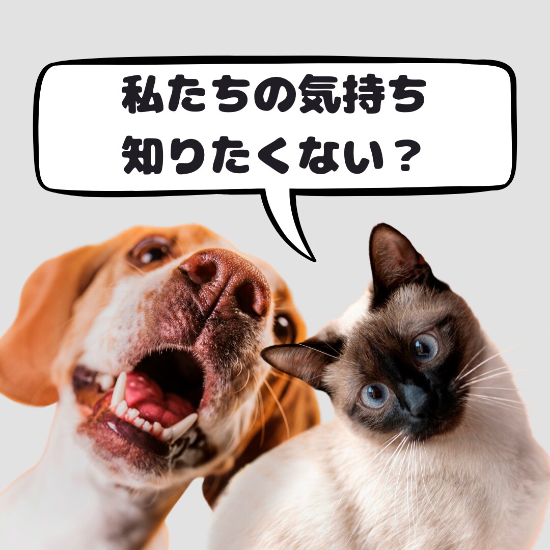 家族のペットの気持ちをお届します ペットがどんな気持ちでいるか知りたくないですか？ イメージ1