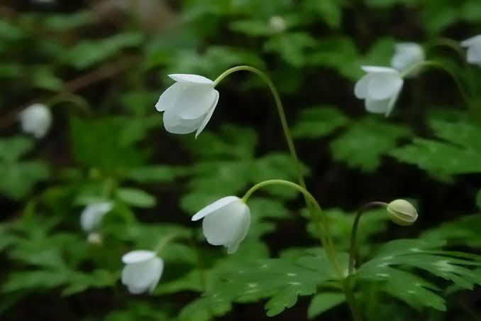 資格有プロ♥心のモヤモヤ、チャットで解決します 誰にも言えない悩み、明日が見えなくなるほど苦しいあなたへ イメージ3