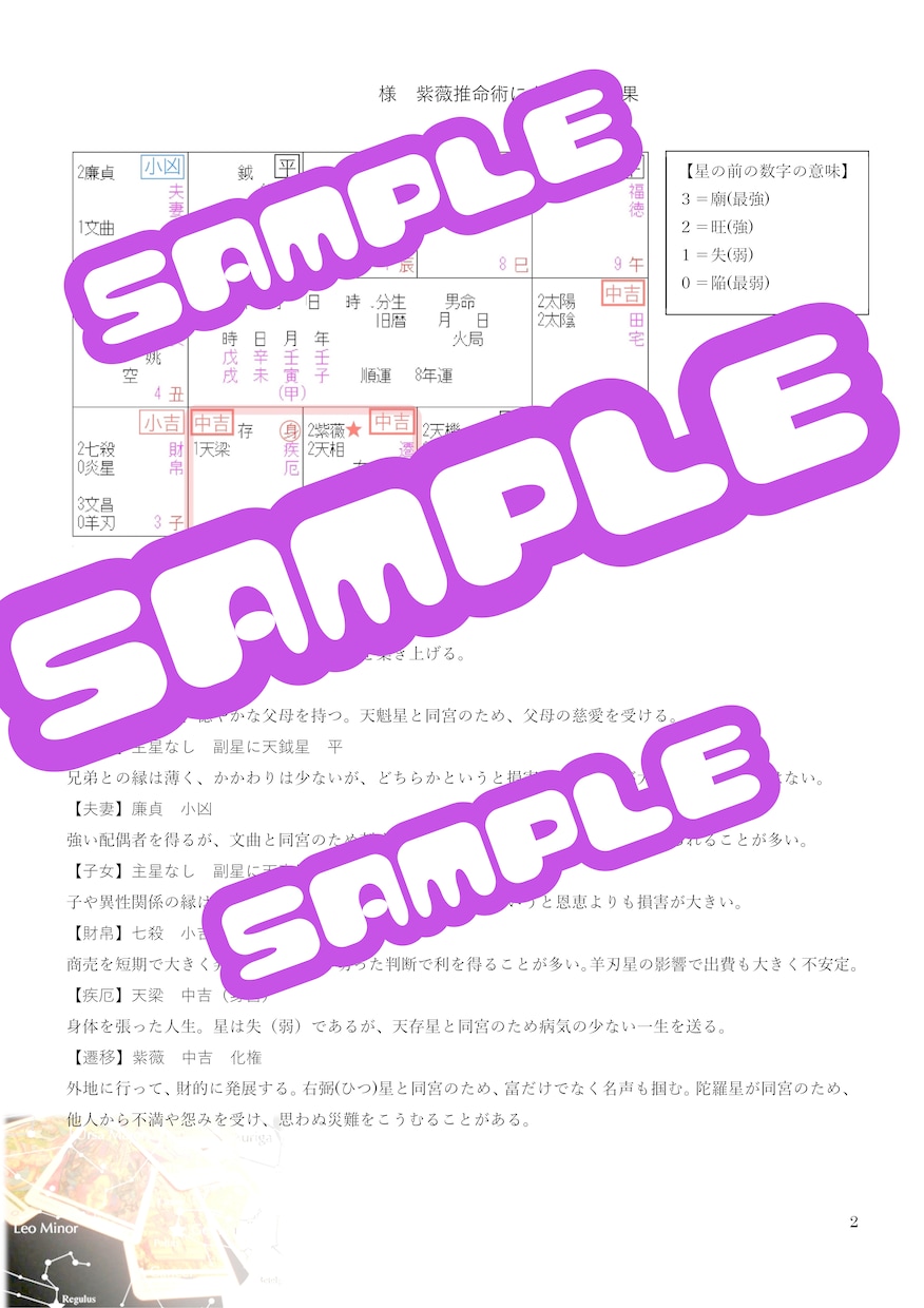 知らぬと大損!紫薇斗数運勢鑑定書作成いたします 正統 五術 透派による紫薇斗数運勢鑑定書 おひとり分 イメージ2