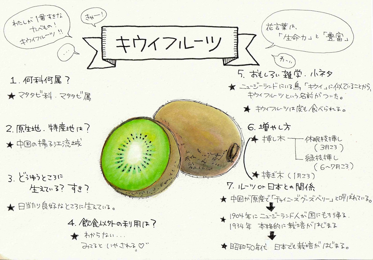 植物のイラストお描きします 〜植物大好きな私が描く植物イラスト〜 イメージ5