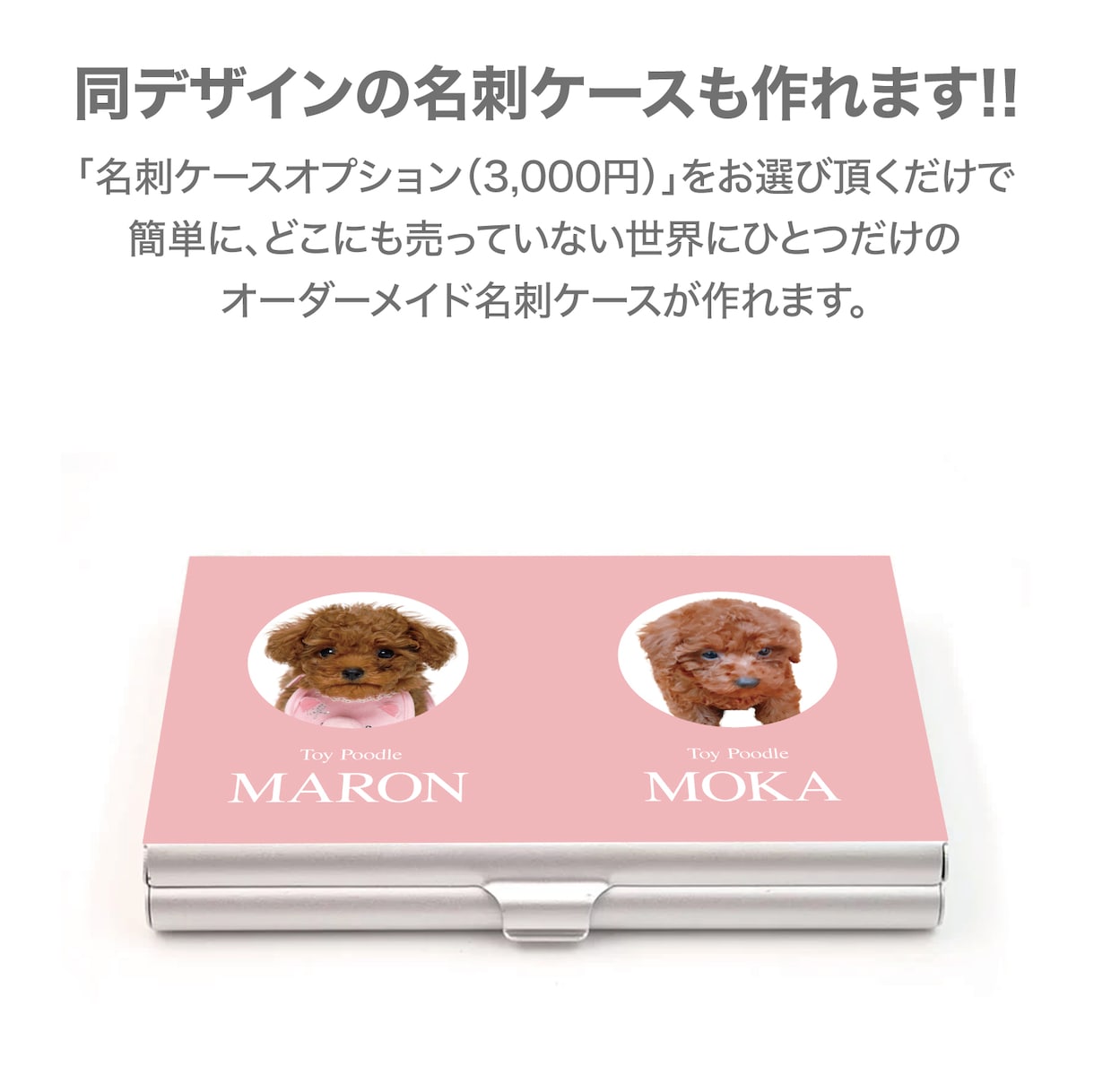 2匹用　シンプルデザイン　うちの子名刺お作りします 【両面印刷100枚】送料無料　セミオーダー　QRコード入り イメージ4