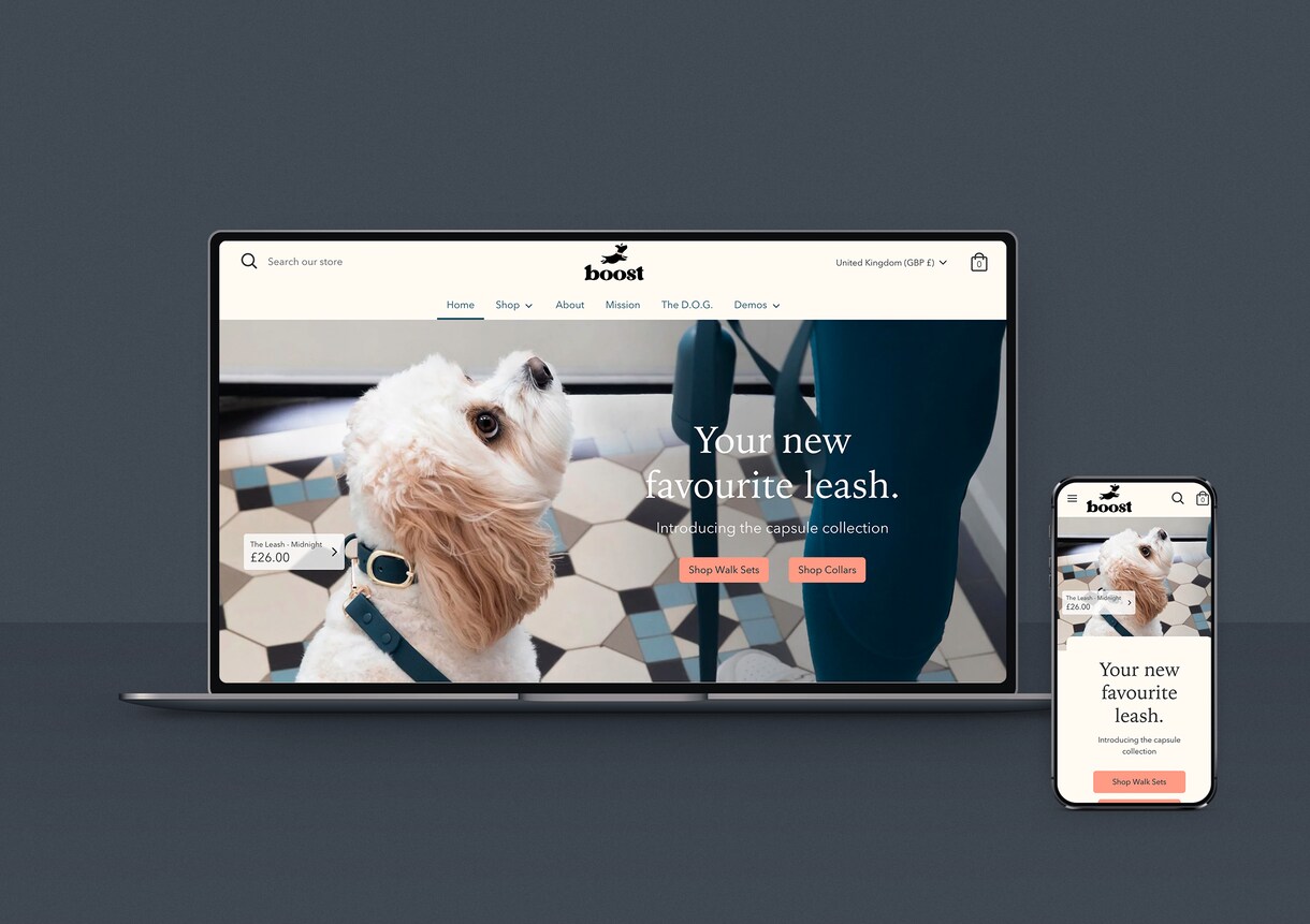 shopifyで拡張性高いECサイトを制作します 【限定3名様まで】格安の3万円で承ります！【初心者も安心】 イメージ7