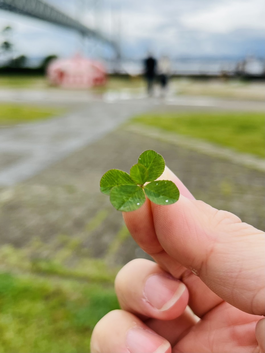 あの人の気持ち鑑定します 恋愛・仕事などオラクルカードを使ってお悩みに寄り添います。 イメージ1