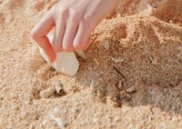 沖縄旅行の最新スポットおすすめプランをご提案します ロケーションコーディネートのプロが、沖縄旅行プラン作成。 イメージ1