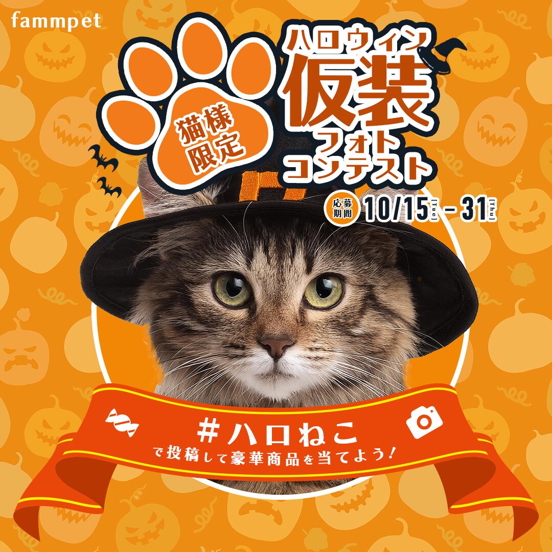 ほのぼのあったかテイストのweb画像制作いたします 見た人を安心させる温かみのあるデザインで心を掴もう！ イメージ4