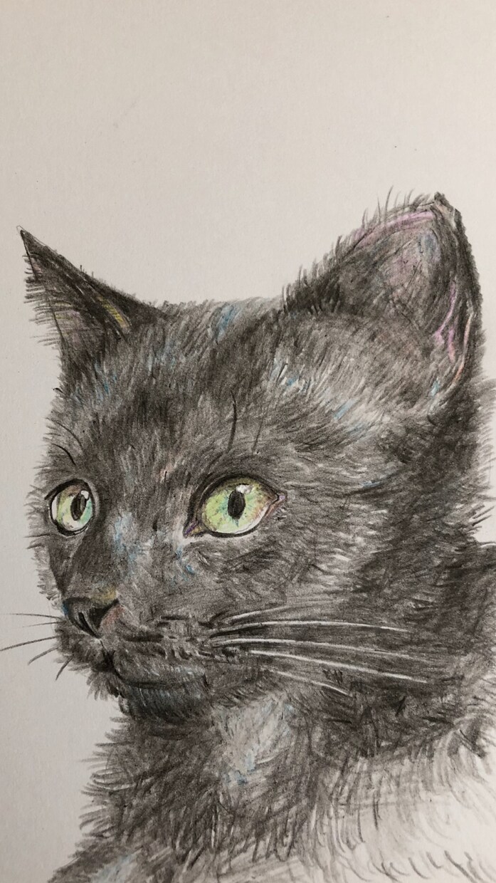 ねこ(いぬ)の似顔絵を描きます 愛する猫ちゃん(ワンちゃん)似顔絵を飾りましょう！ イメージ6