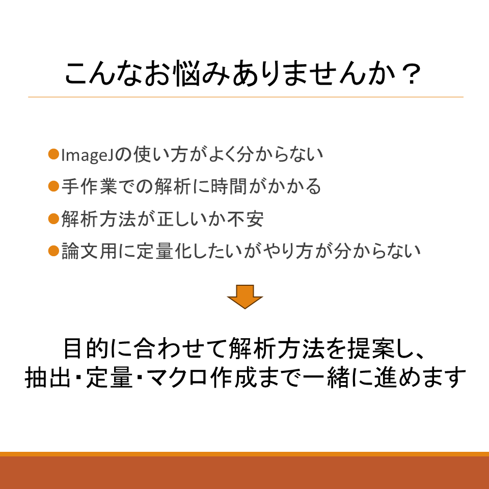 ImageJで画像解析コード作成します 細胞数・サイズ・輝度を定量化します イメージ3