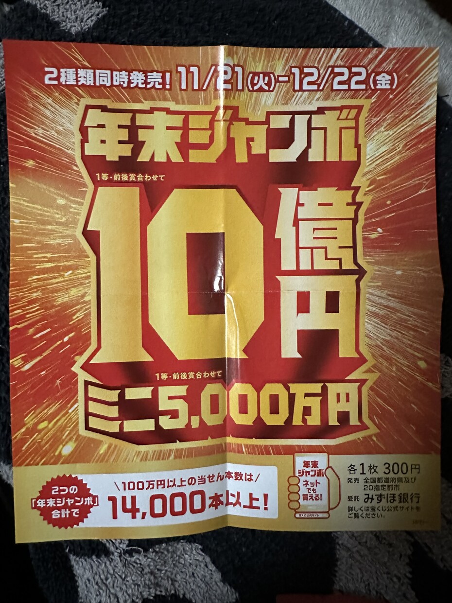 箱根九頭竜神社にて年末ジャンボ当選祈願致します 年末ジャンボ発売間近！箱根のパワースポット九頭竜神社 イメージ3