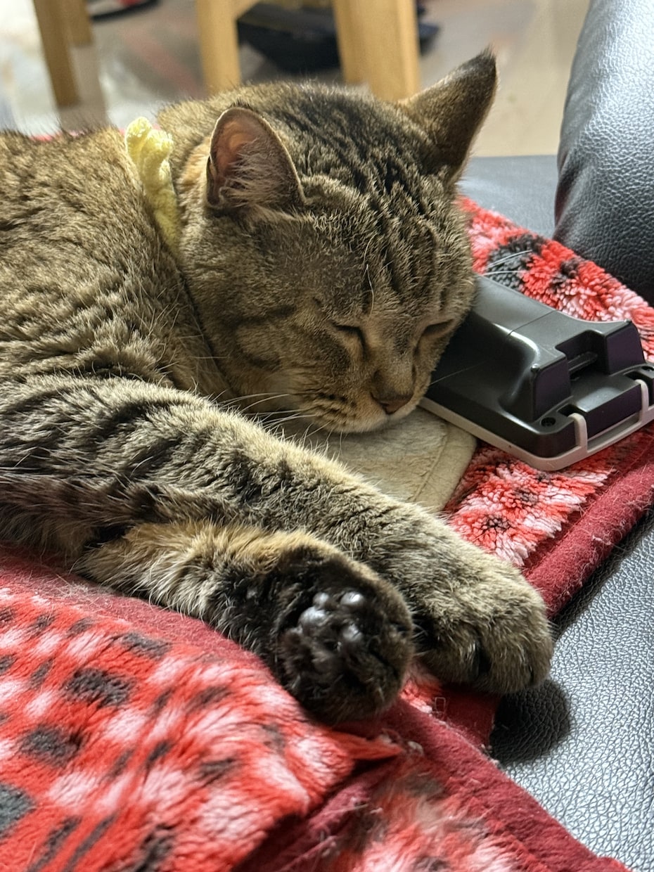 なんでもお話しききます 深夜にお話聞いてほしいな？ってときお使いください！ イメージ2