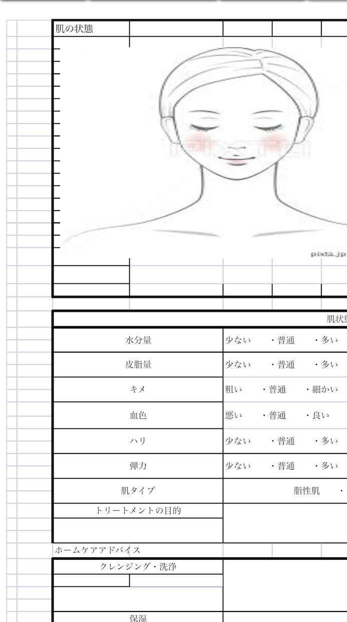 BODY・FAカウンセリングデータ送ります BODY・FACIAL用カウンセリングシートExcelデータ イメージ3