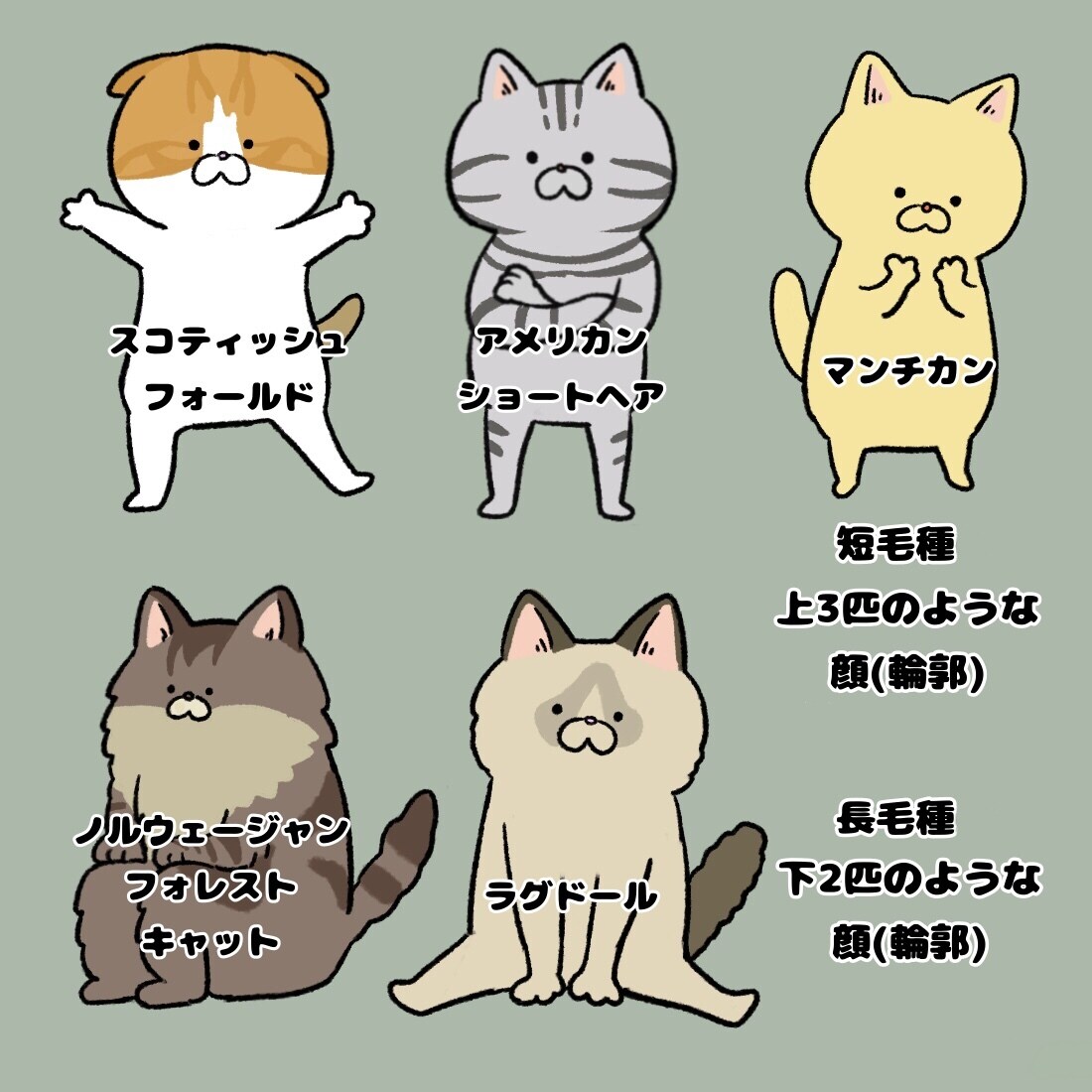 シュールでゆるっとかわいい猫さん描きます 愛猫さんをデフォルメにしてアイコンにしてみませんか？ イメージ2