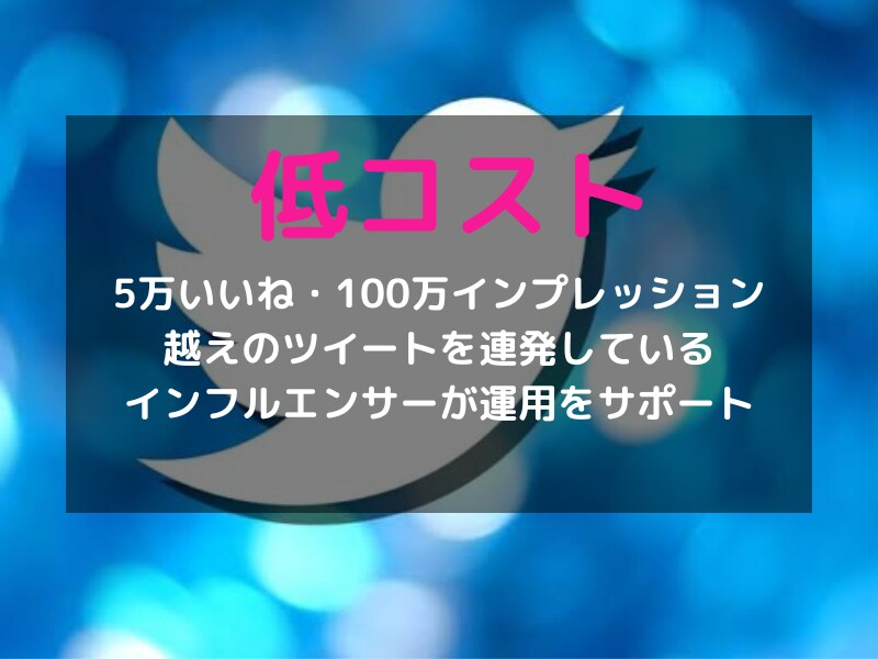Twitter運用補助！認知拡大をお助けします 効果的なサポートで日本人アクティブフォロワーを獲得します イメージ7