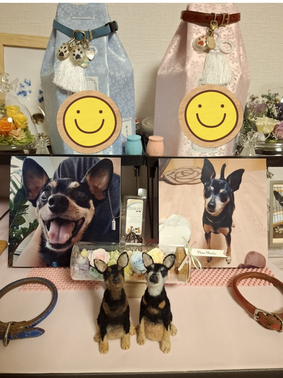 羊毛フェルトで手乗りペットちゃんをお作りします 羊毛在庫の確認の為、ご購入前にお問い合わせ下さいませ。 イメージ3
