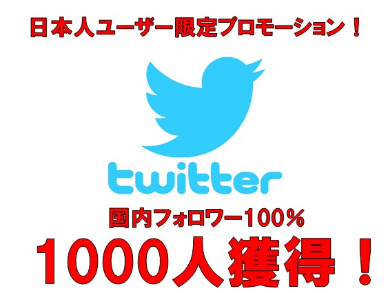 リアル日本人フォロワー＋１０００人集客します 貴方のファンとなるフォロワーを国内限定プロモーションで獲得！ イメージ1