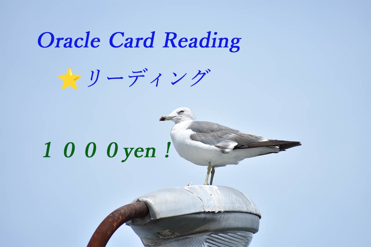 仕事？　恋愛？　今必要なメッセージをお届けします あの人の気持ちが知りたい…♪⭐️カードリーディング⭐️ イメージ1