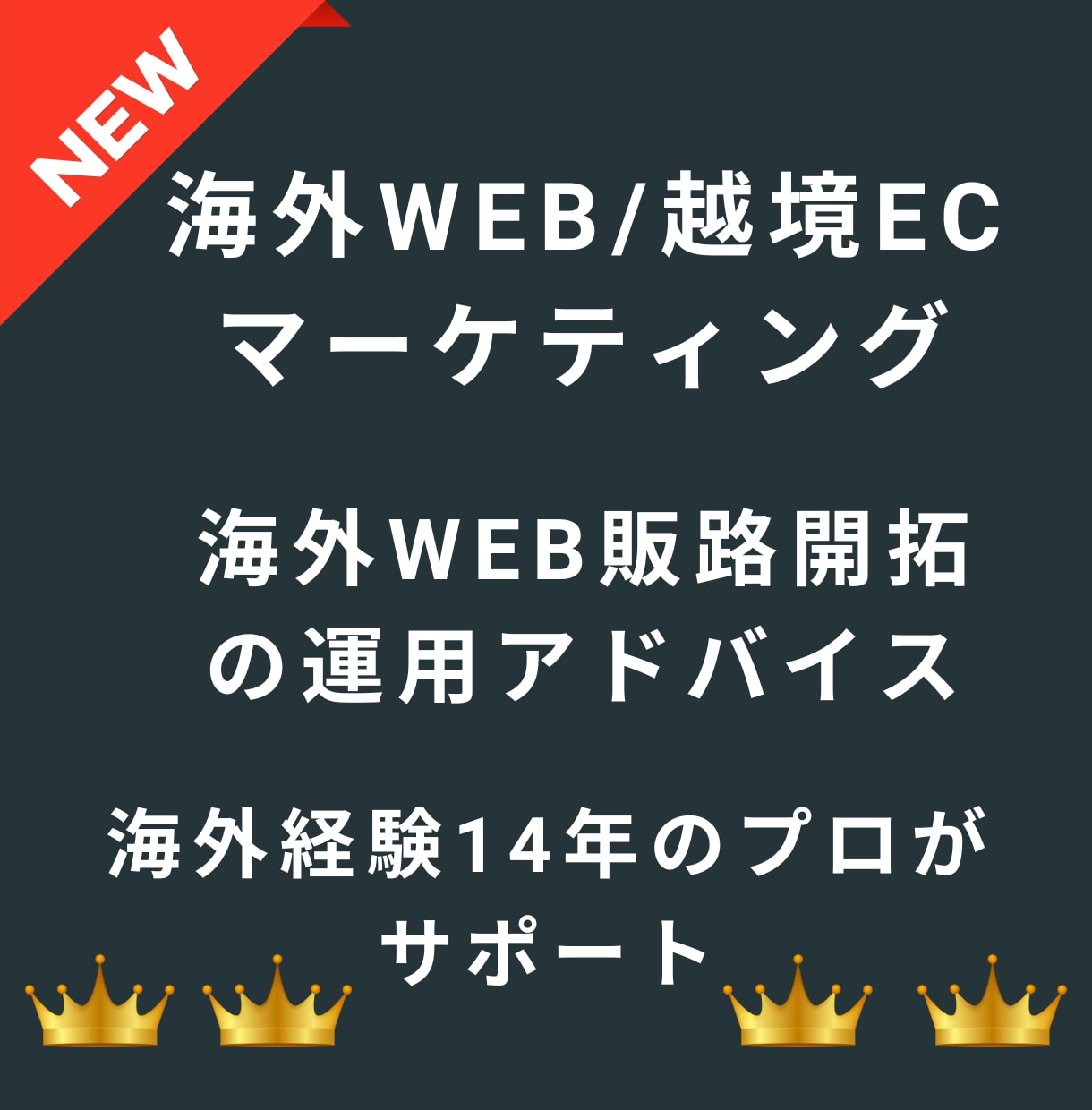 海外WEBマーケティング・越境ECアドバイスします 経験14年のプロが海外マーケティング・海外ビジネスをサポート イメージ1