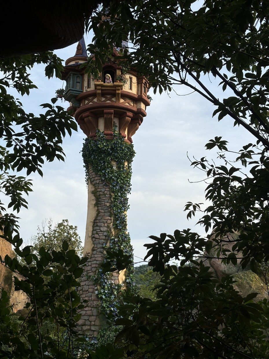 主にディズニーランド、シーの写真素材を提供致します まるで自分自身がその場に居るような一人称視点の撮影をします！ イメージ6