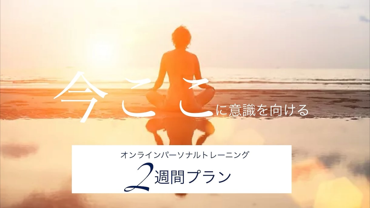 2週間マインドフルネスパーソナルトレーニングします 全3回のセッション＆習慣化への毎日レポートでサポート イメージ1