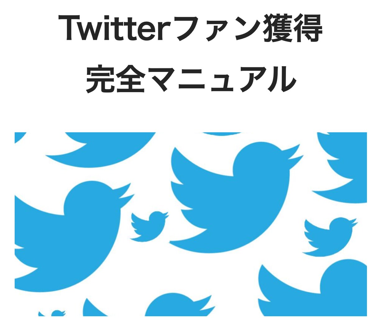 Twitterで濃いファンを獲得する方法を教えます アクティブユーザーに『いいね』『RT』されるアカウント作成法 イメージ1