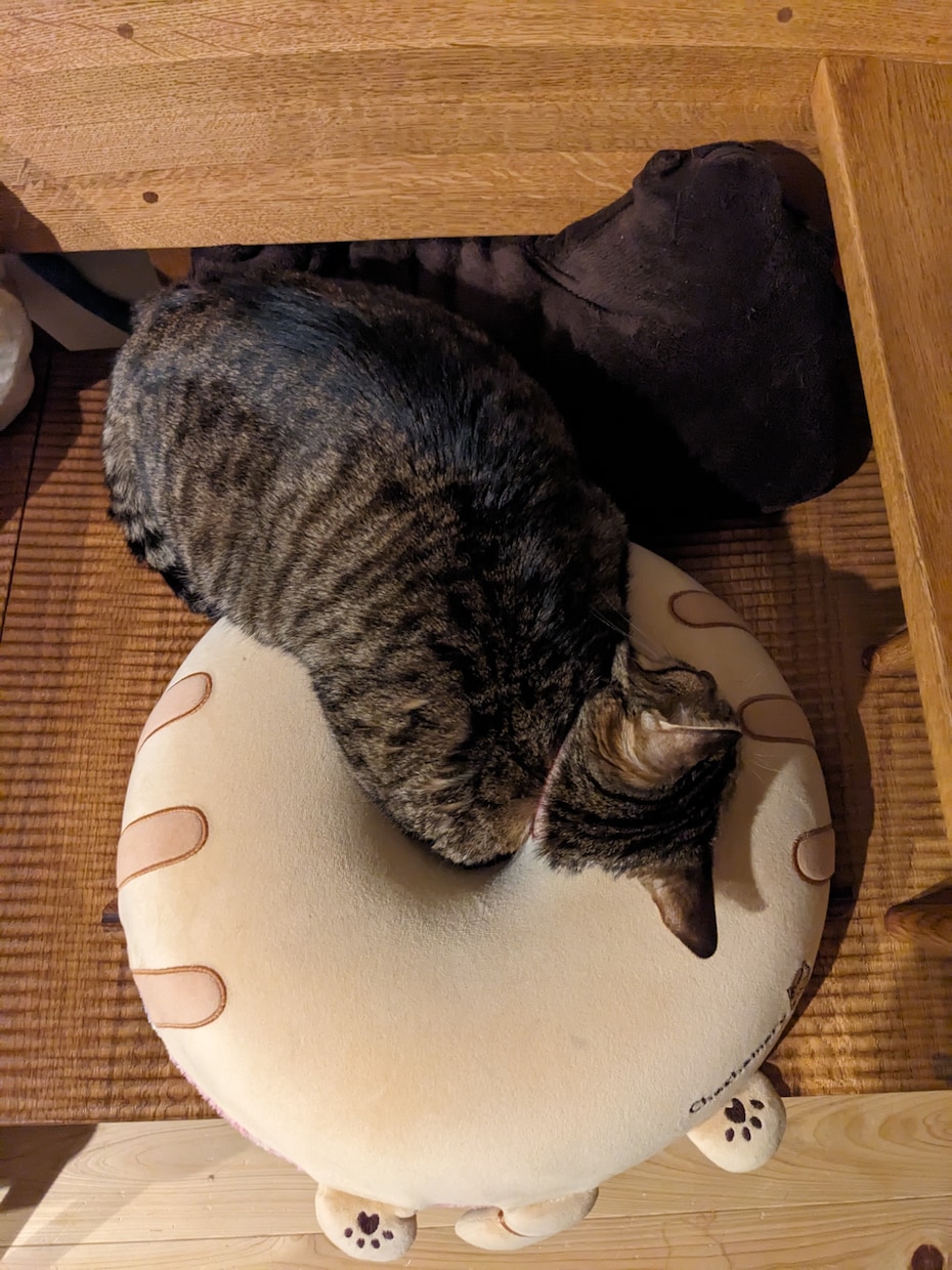 お悩み相談なんでも聞きます 現役動物看護師があなたの相談にのります イメージ1